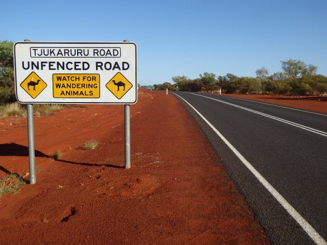 Too many people? Great: head 30 miles west to Kata Tjuta, alias Mount Olga. The road continues more or less forever, to Warburton, Leonora,