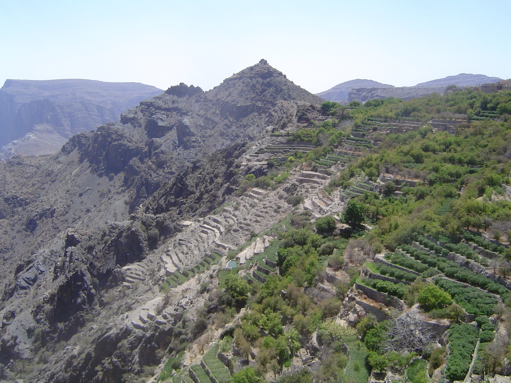 Centered on the abandoned terraces.