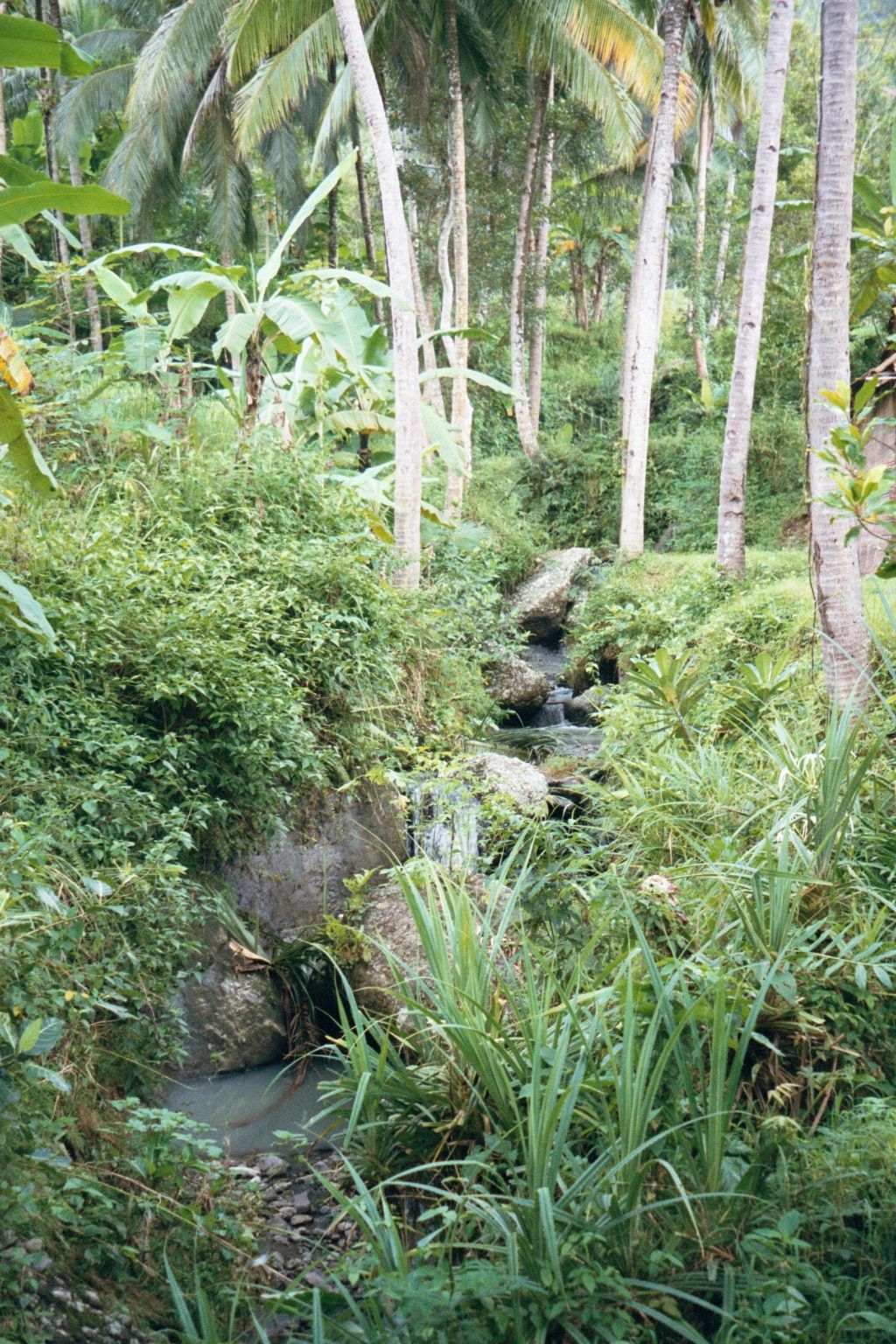 At the bottom, it gets more tranquil before being put to agricultural use.
