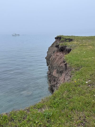 Wandering around, it's hard to miss the brooding aura of the coast.  Signs warning you to stay back from the cliff?  You're kidding, right?