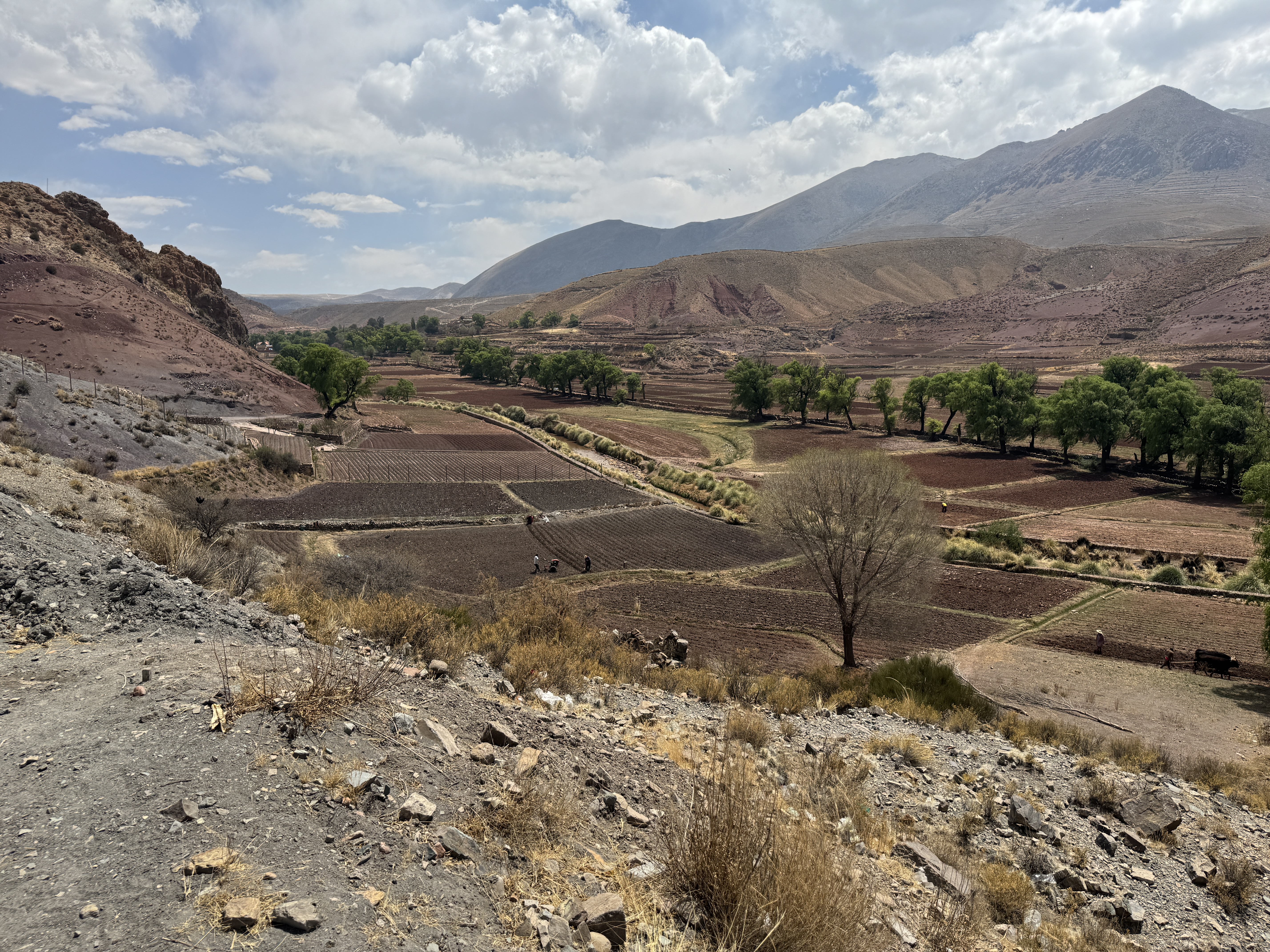 Don Juan de Pendones, a soldier in the service of Pizarro and later the owner of a mine at Potosí, thought that this, the Cayara Valley abou