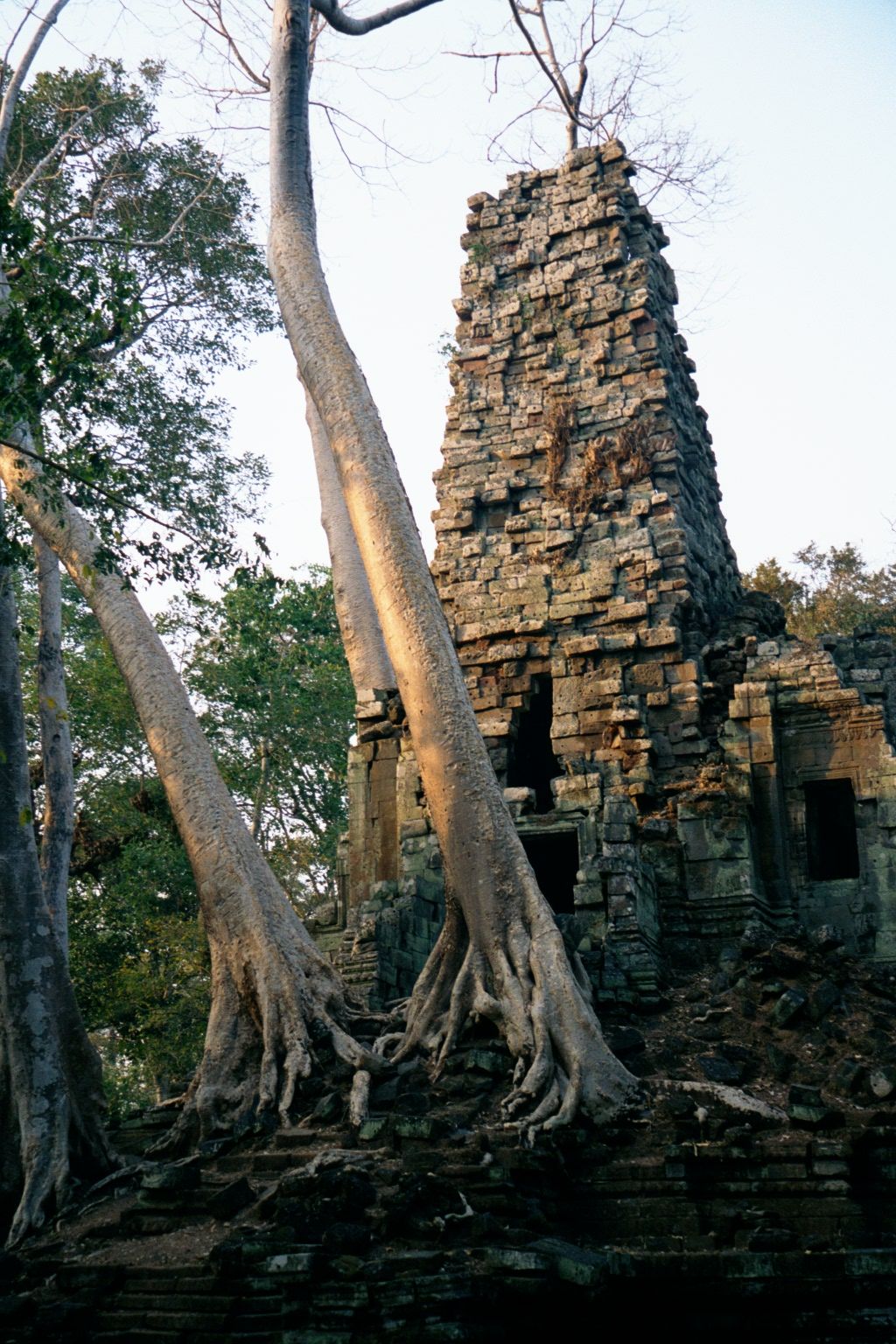 Still farther north and beyond the palace walls is the late 13th or 14th century Preah Palilay. The word Preah is cognate with Sanskrit brah