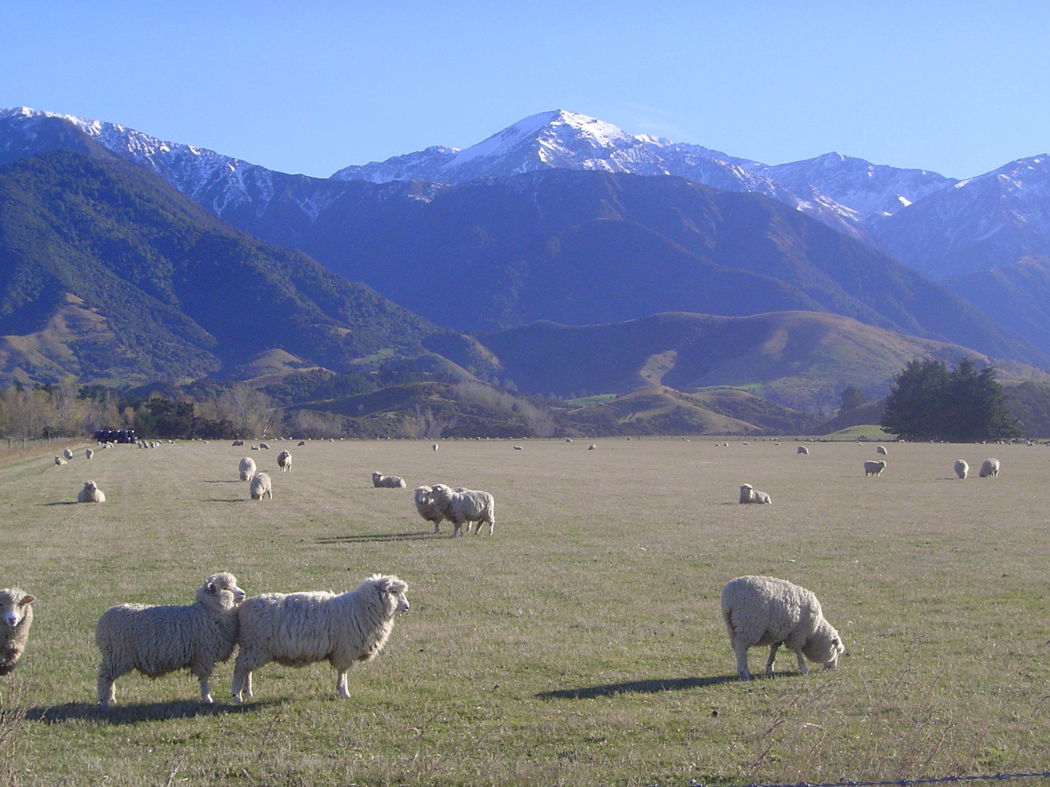 Maybe you don't have to store feed for these critters?