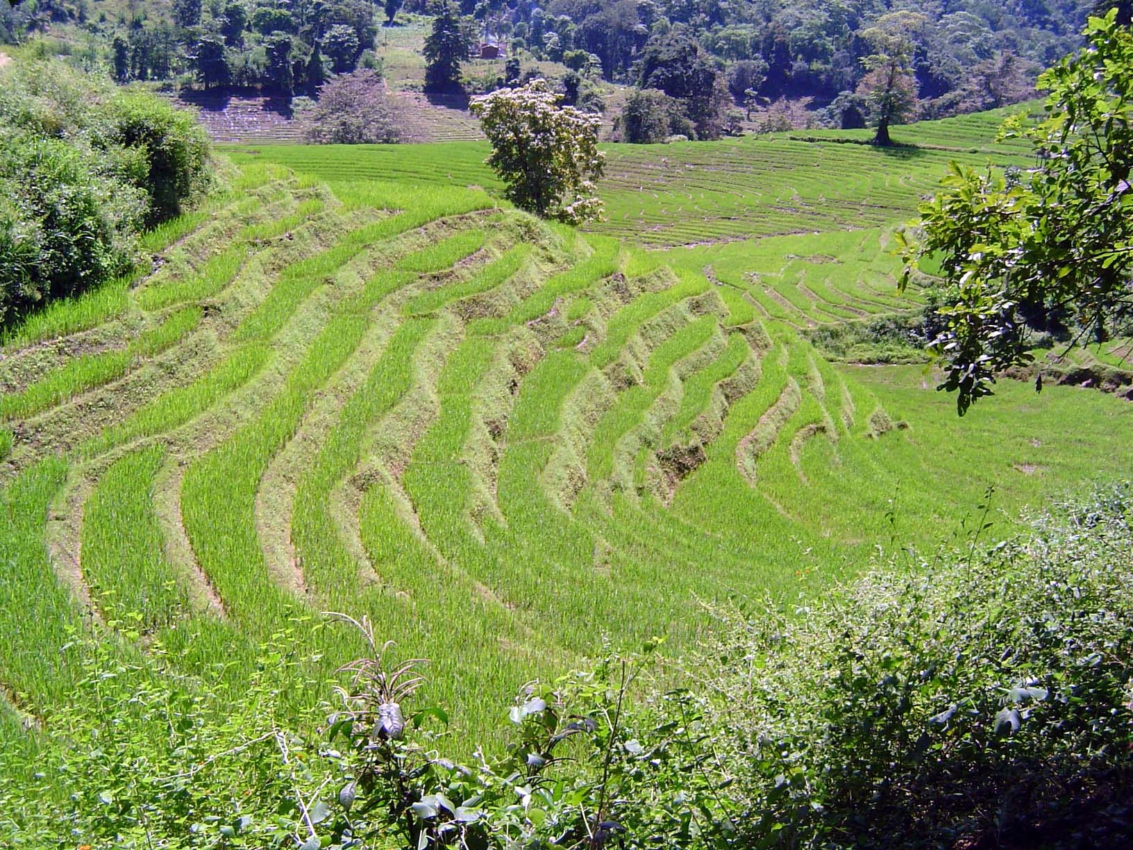 The terrace walls, steeper.