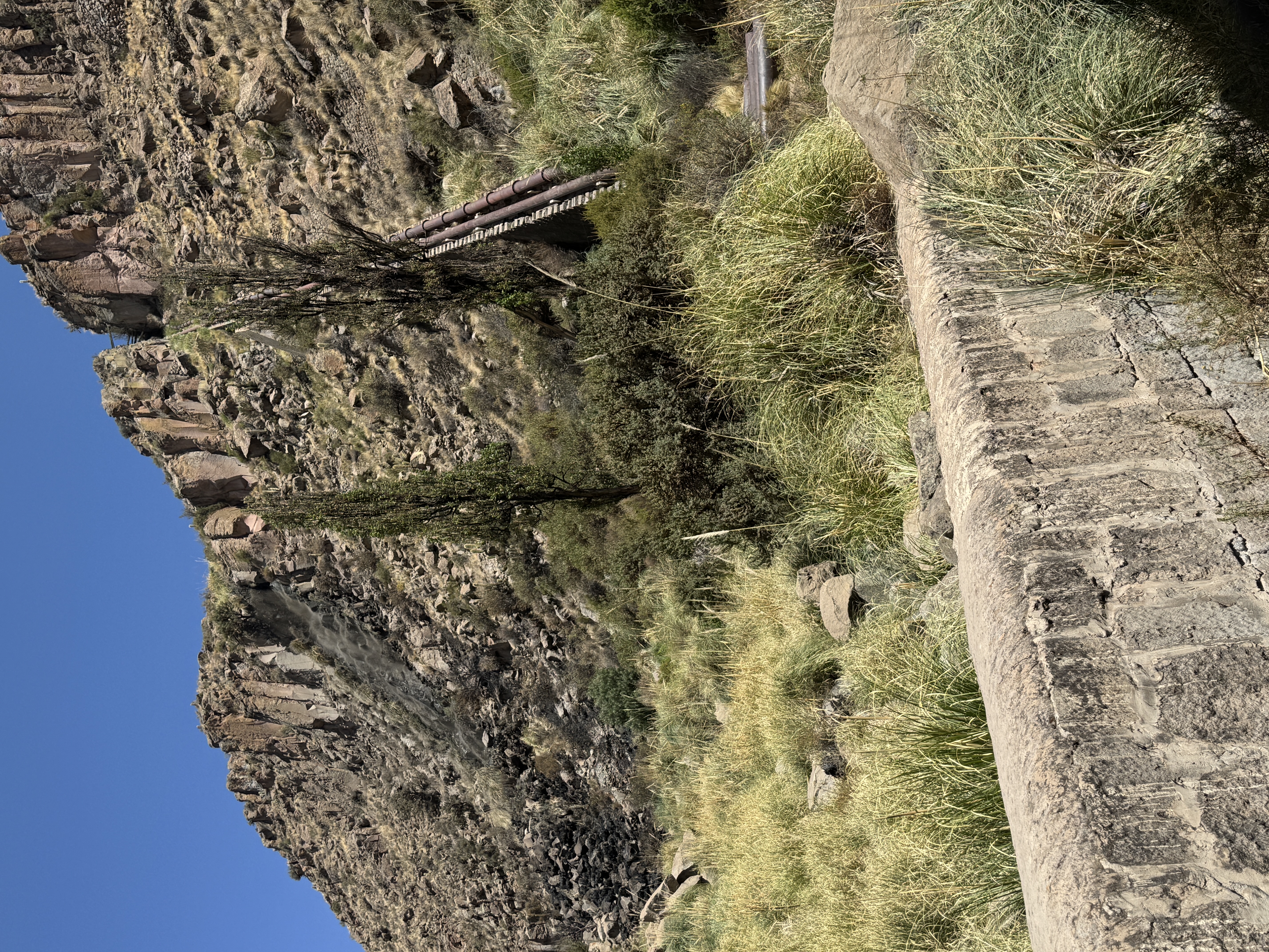 He also built, half a mile upstream, Bolivia's first hydroelectric plant.  Here are the penstocks.