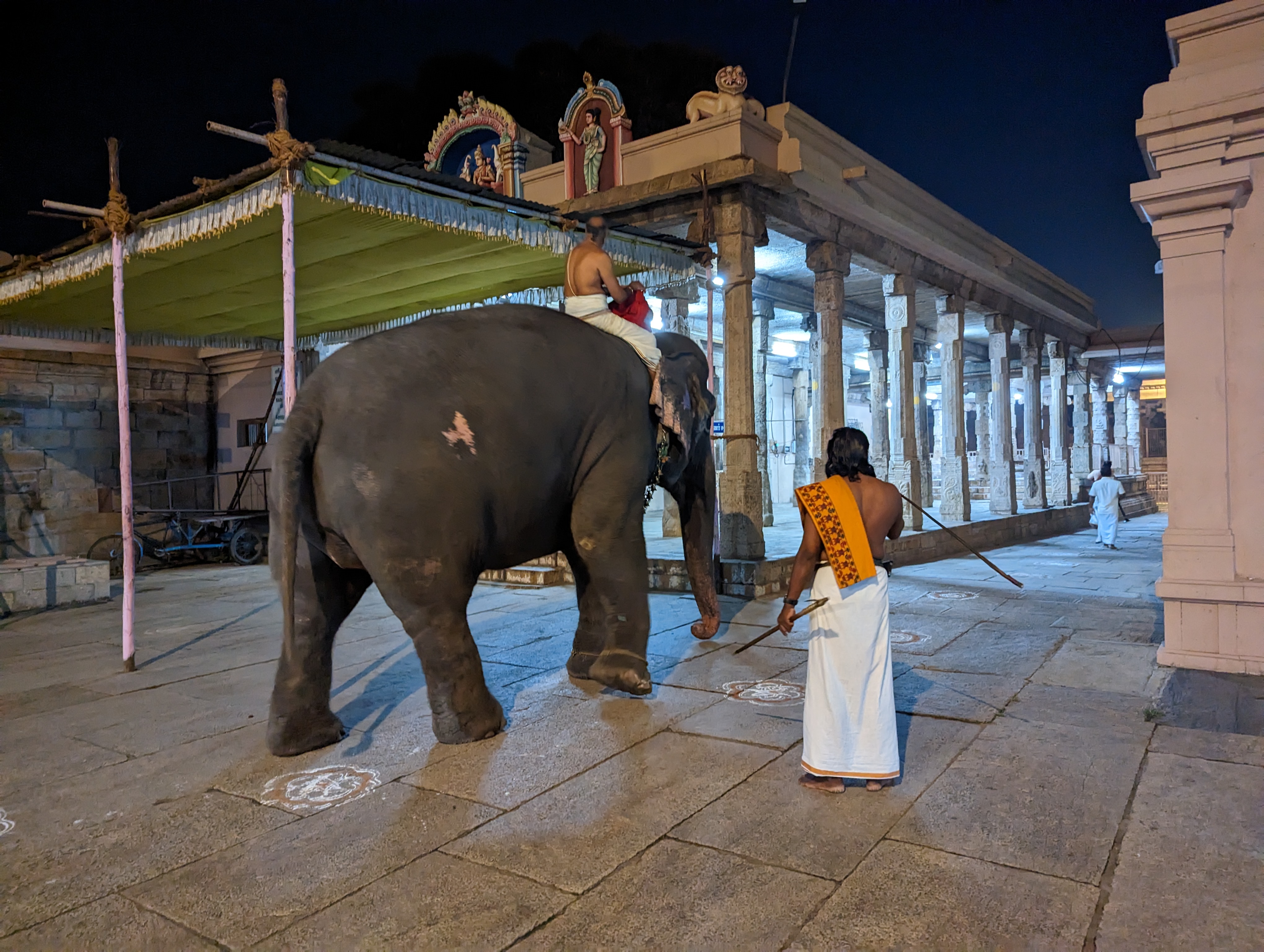 Even earlier, an elephant walks to the doorway of the central shrine, where he will briefly stand as part of Ranganatha's regalia.  Nobody h