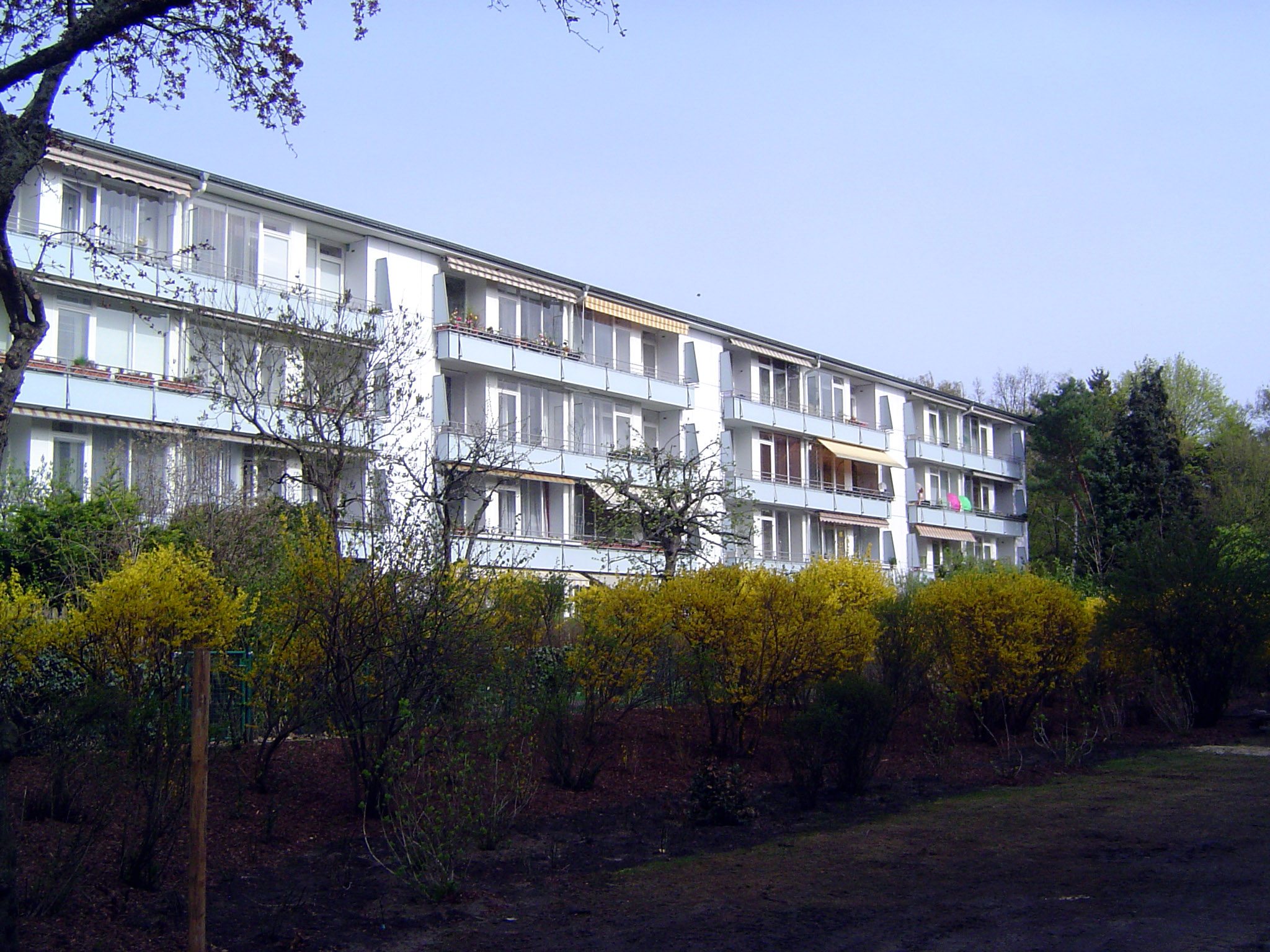 The project expanded further in the 1950s, when these buildings by Hans Hoffmann were added.