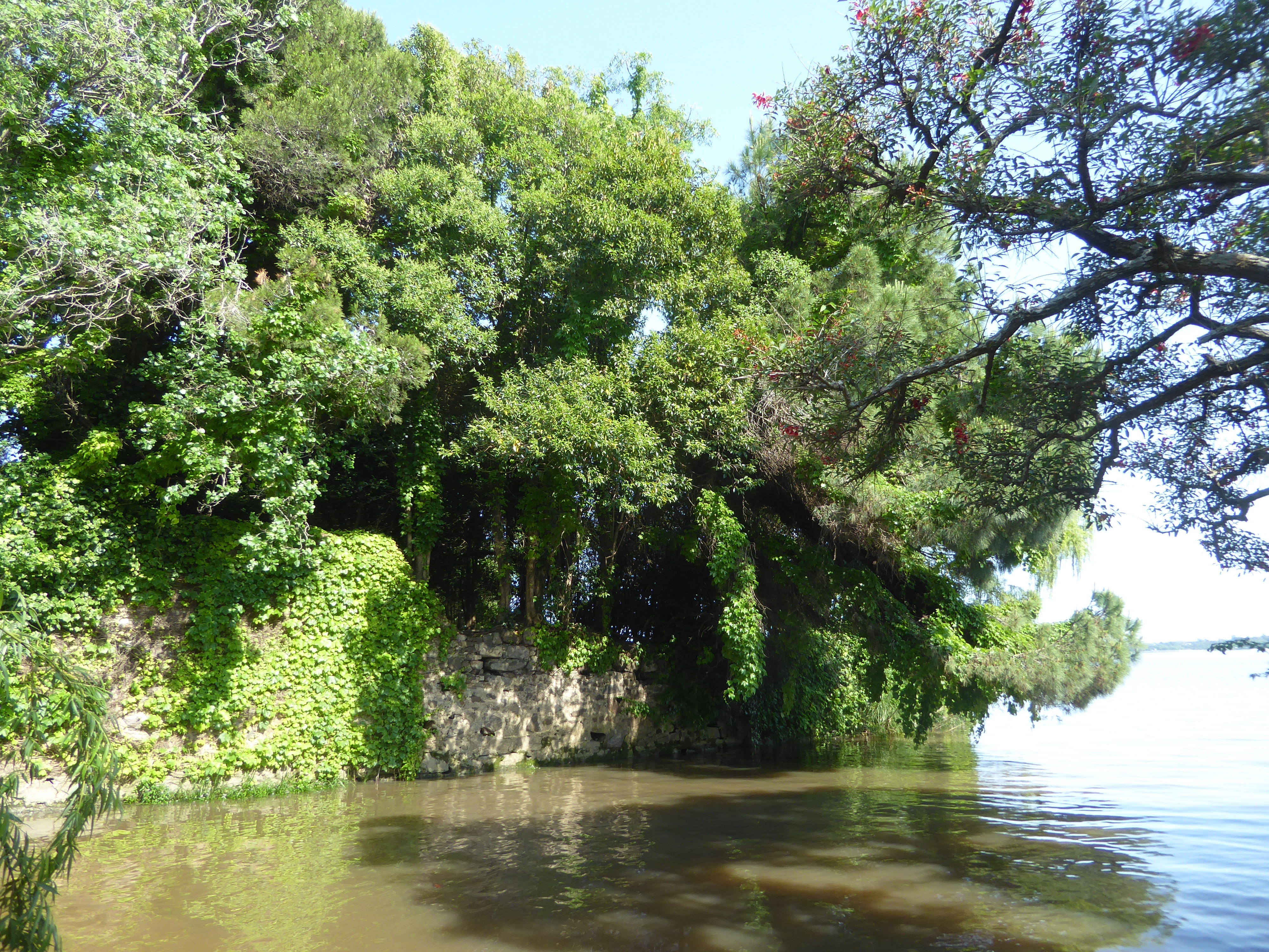 A pleasant bit of old, inaccessible waterside wall. The color of the water is a reminder that this is freshwater.