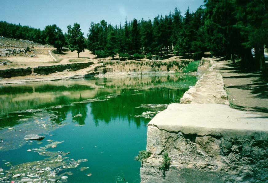 One of the lower pools.