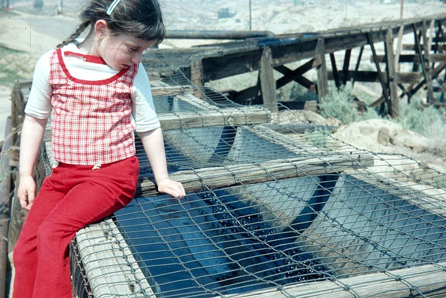 Here's the same flume as it comes across a wooden trestle. Evaporation? Carcinogenic? At least they've put some wire over the top to keep bi