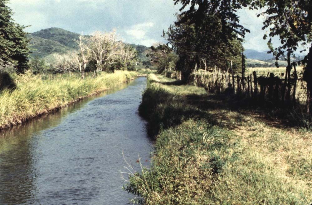 Out in the countryside, sugarcane plantations required irrigation ditches, although the collapse of the industry has left the water running