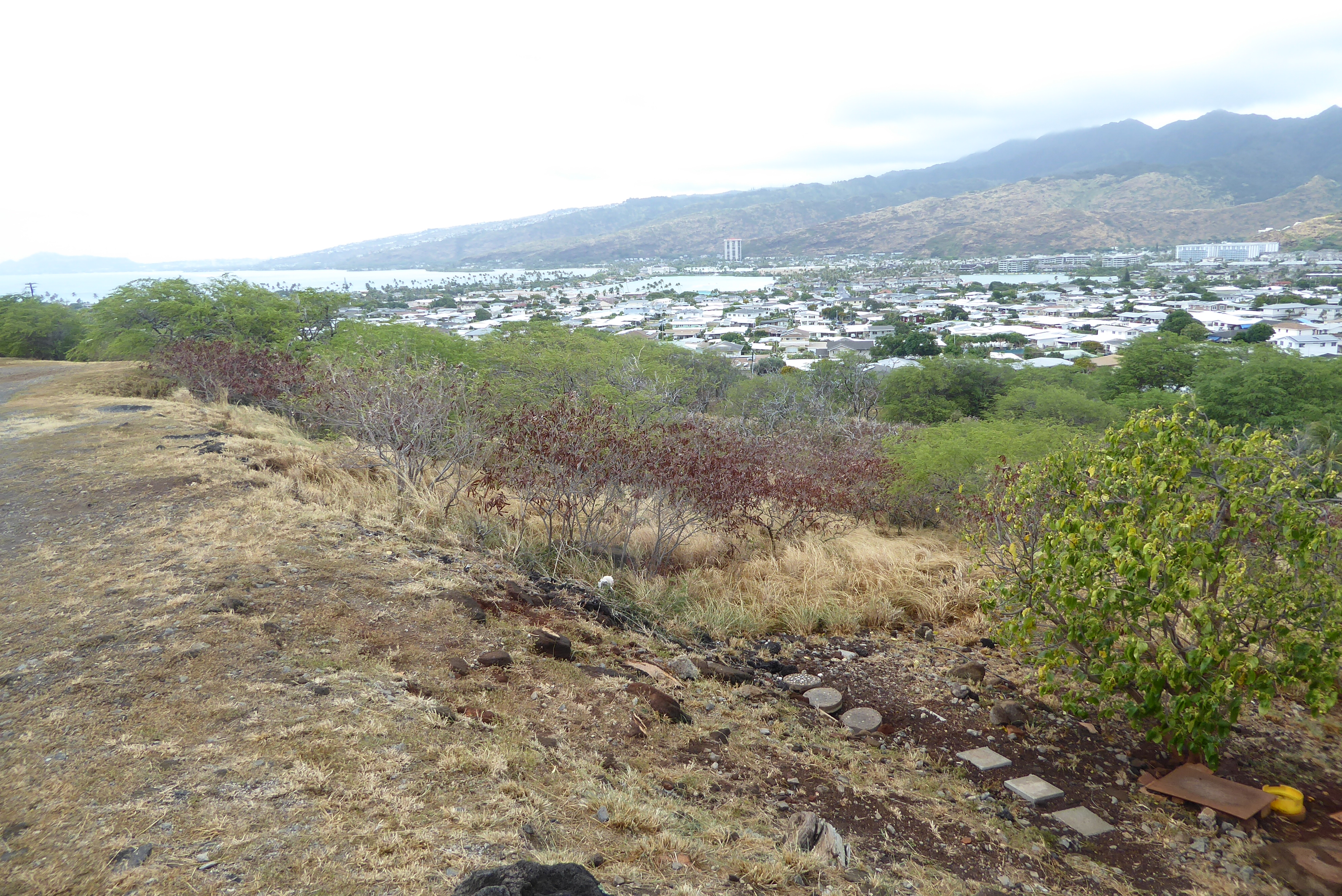 We're down around 4 o'clock now and looking from Koko Head, a volcanic cone, over Hawaii Kai, created by Henry J. Kaiser by dredging and fil
