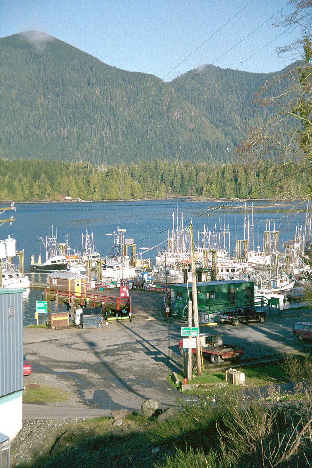 Fisherman's Wharf at Tofino, with Tofino Inlet in the background.