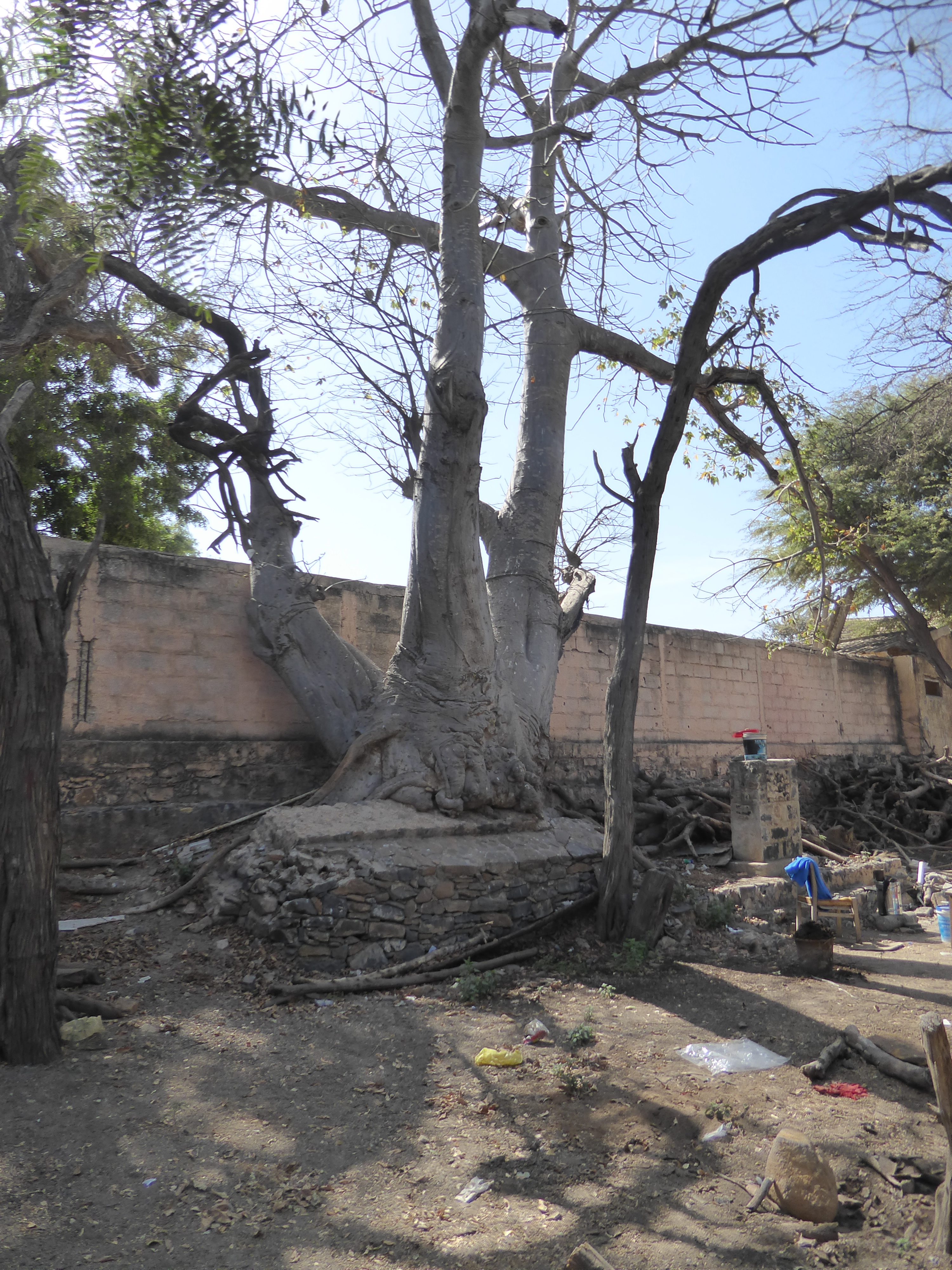 It's linked to this tree.