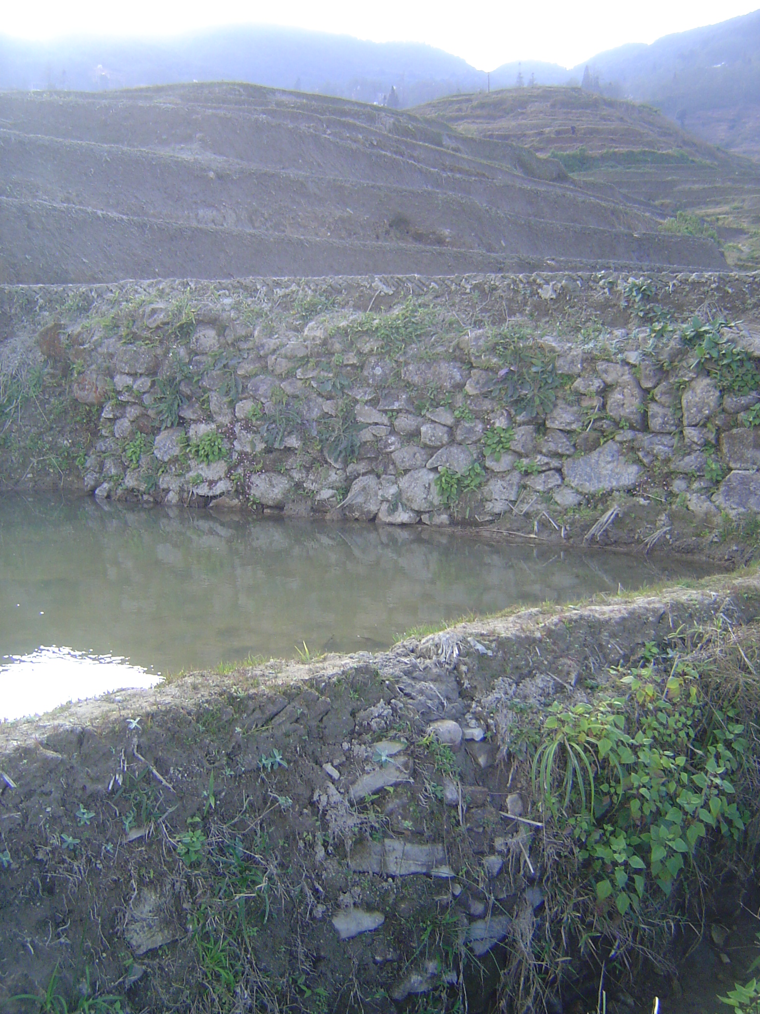 The dikes are themselves structural, of mud bricks that eventually fuse.