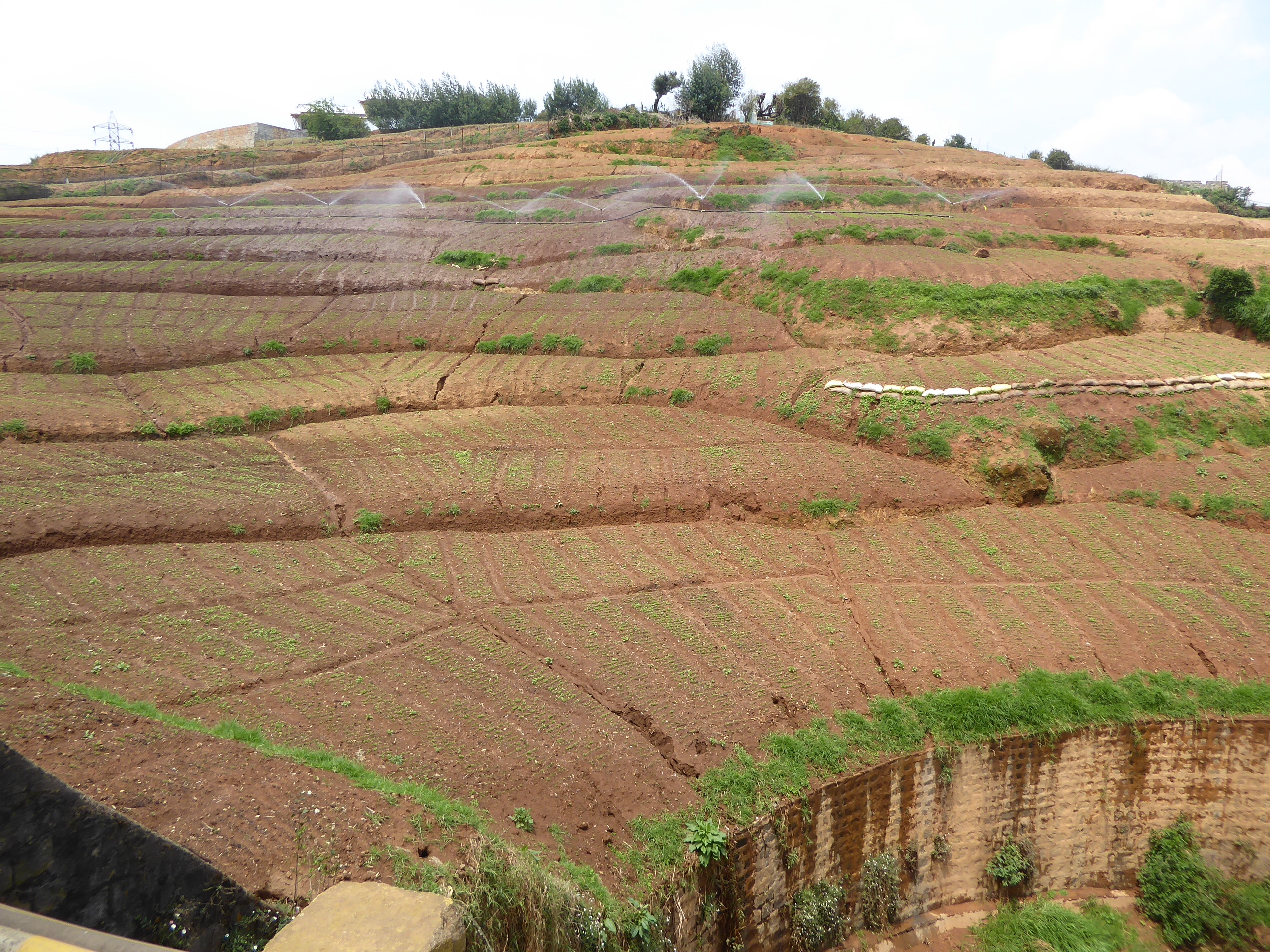 People insist that the soil in these raised beds won't wash into the stream below.