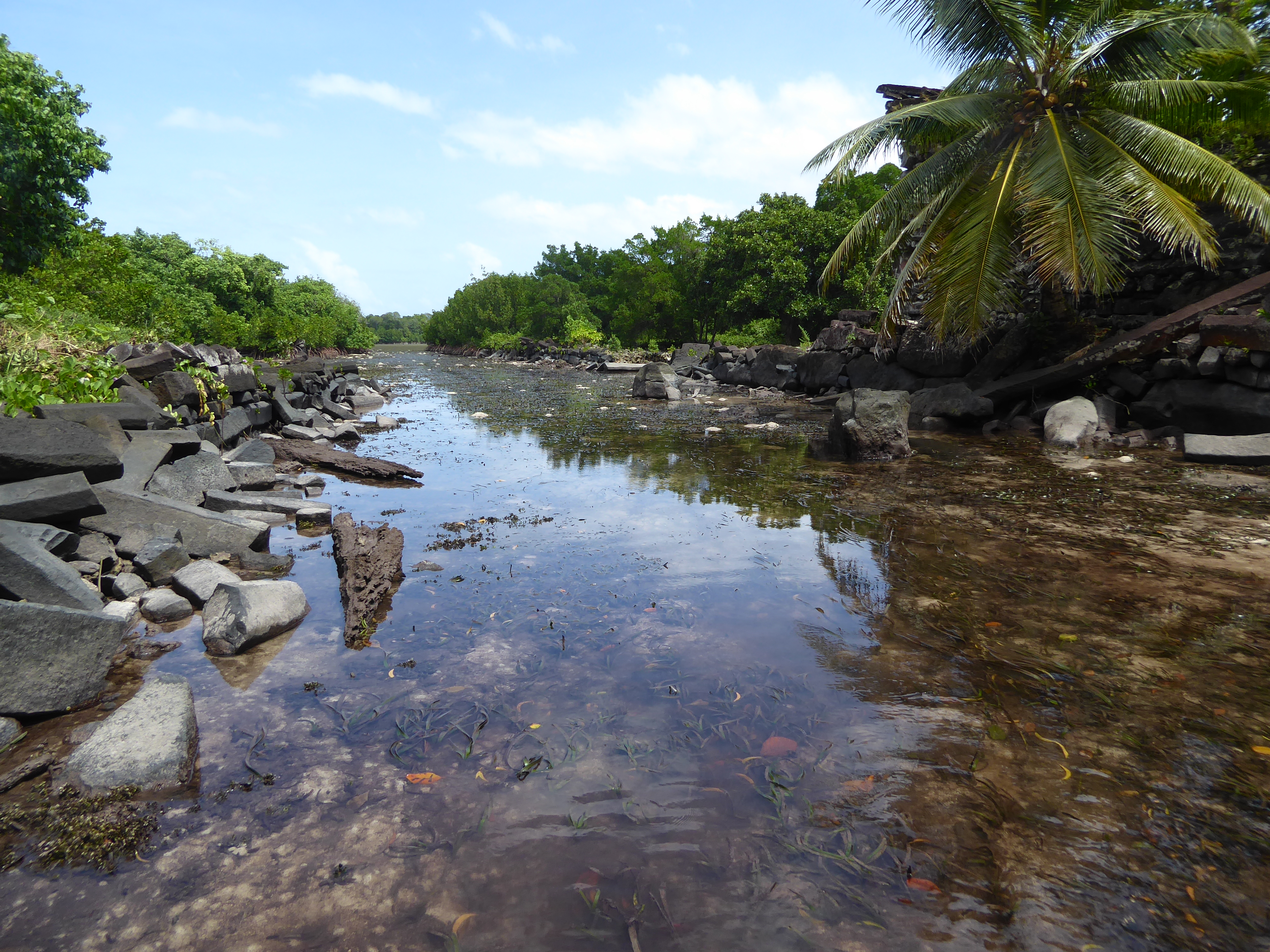 Remind you of Angkor? Here's Kahn A Reporter in Micronesia, p. 151, who came before the path was built: "Nan Madol would probably be a great