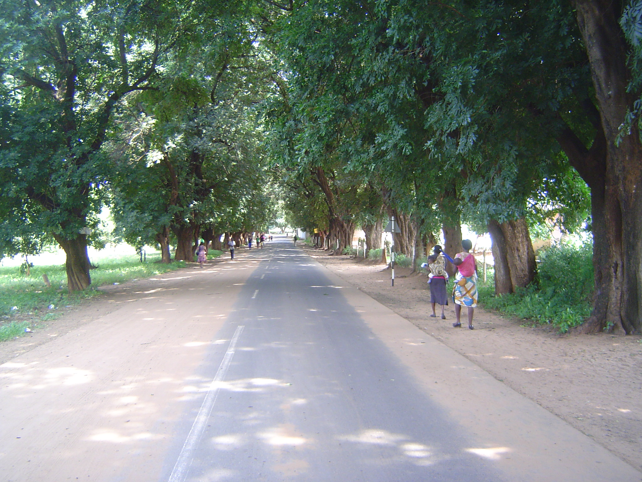 Davidson Avenue, still so called after the town's first mayor, Robert Davidson, who was an Old Drifter. It's as good a relic of the British