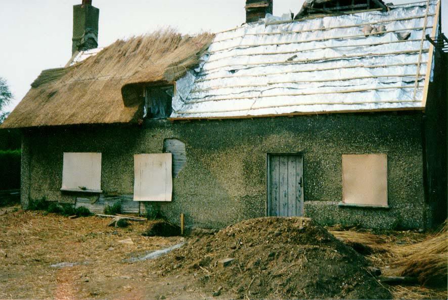 But even here, in a country with big rolls of moisture barrier, people still top it up with ephemeral, traditional thatch. The Euro? Not thi