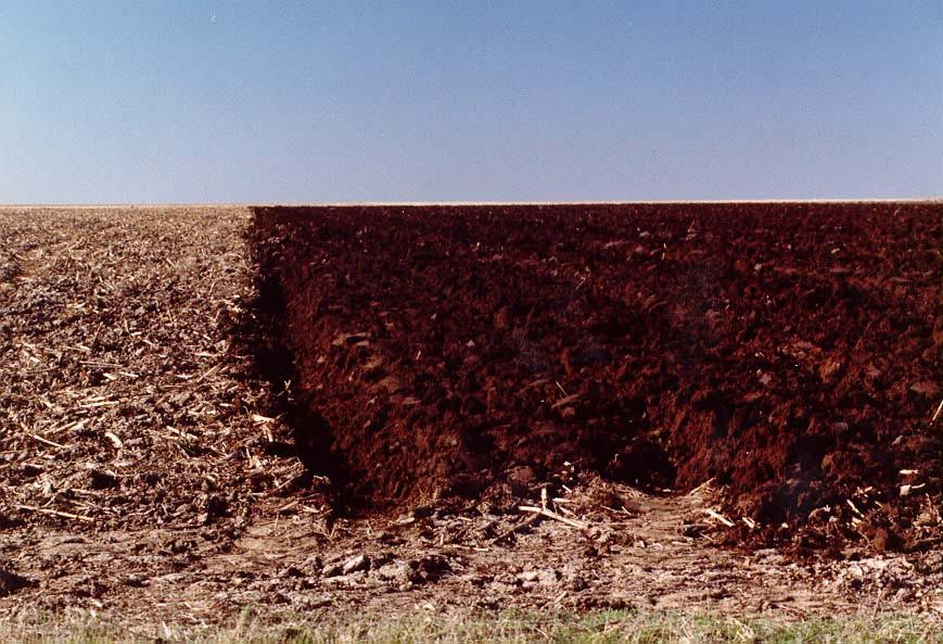 Starting a new season north of Tribune. This is the flattest part of the Great Plains.
