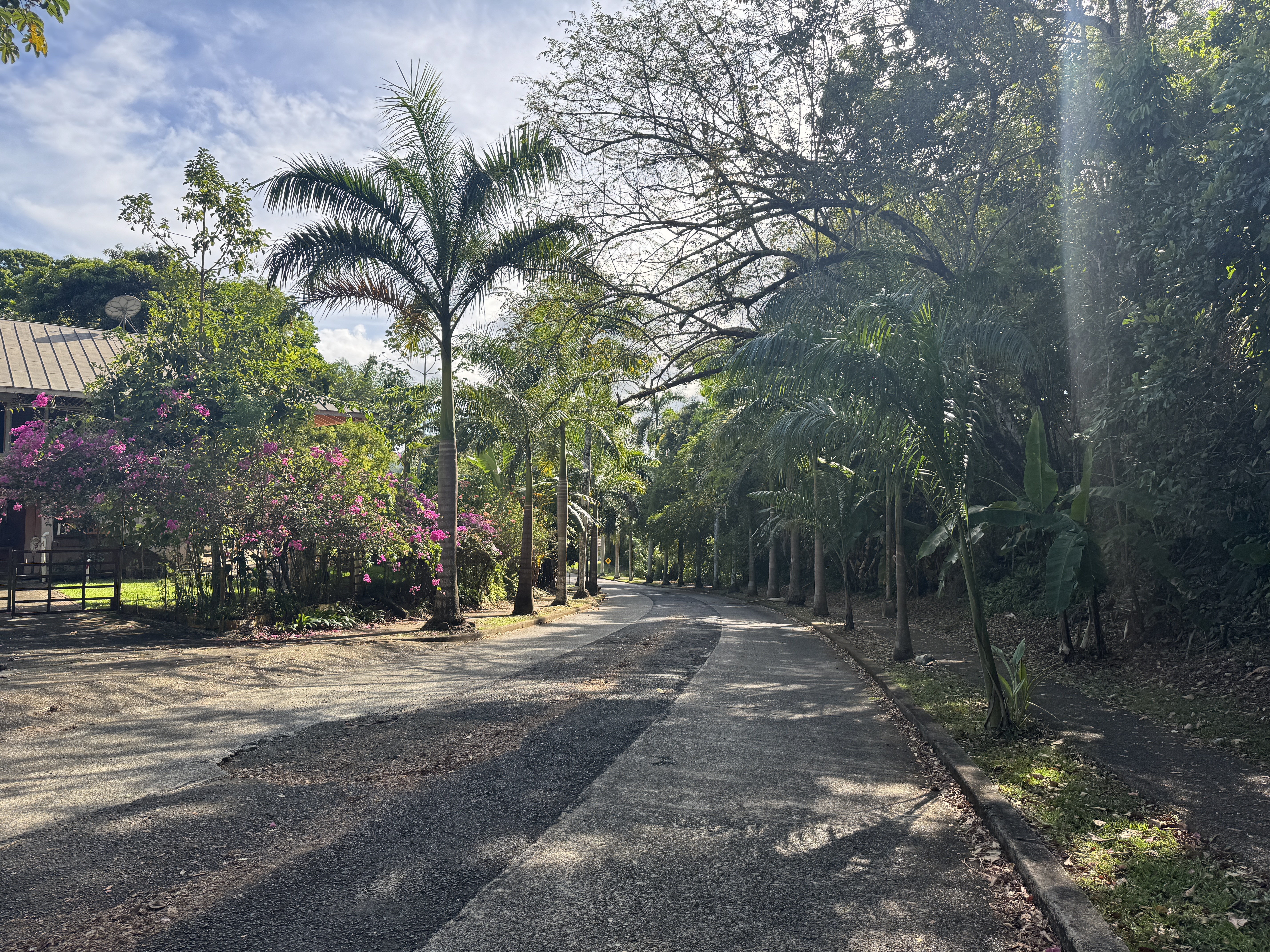 I don't suppose that Panamanians have ever spent a lot of time applauding Americans for building a tropical paradise smack in the middle of