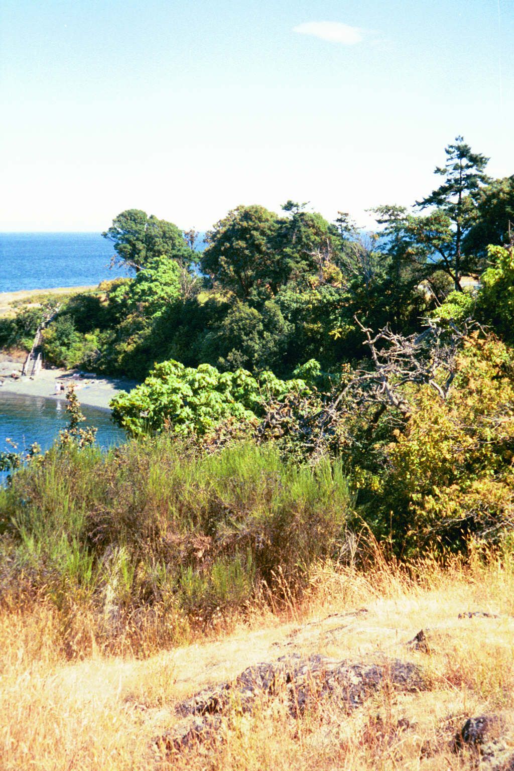 Gordon Head still had bits of open headland and beach in 2000. The headland is a house now.