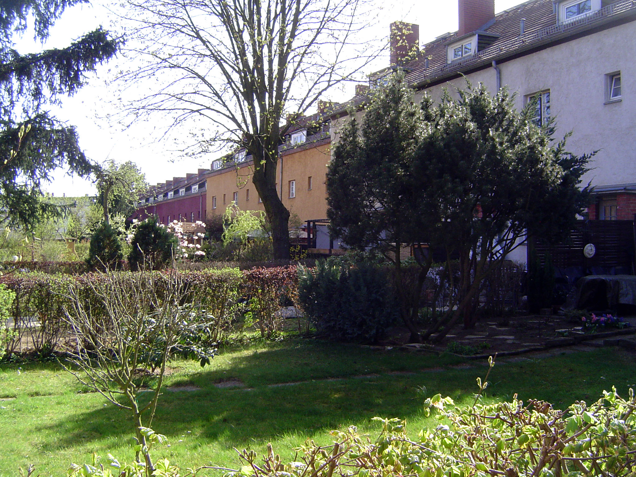 Backyards.