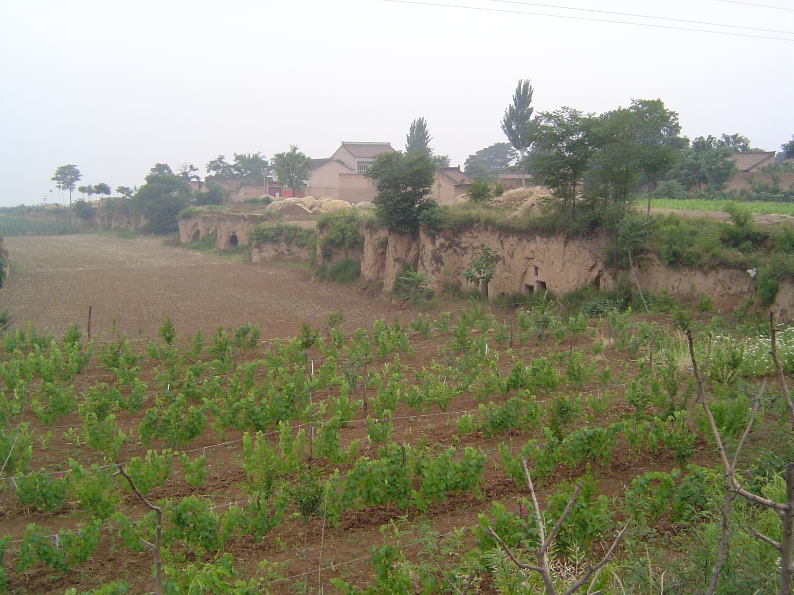 Erosion has produced stepped landscapes in the soft material.