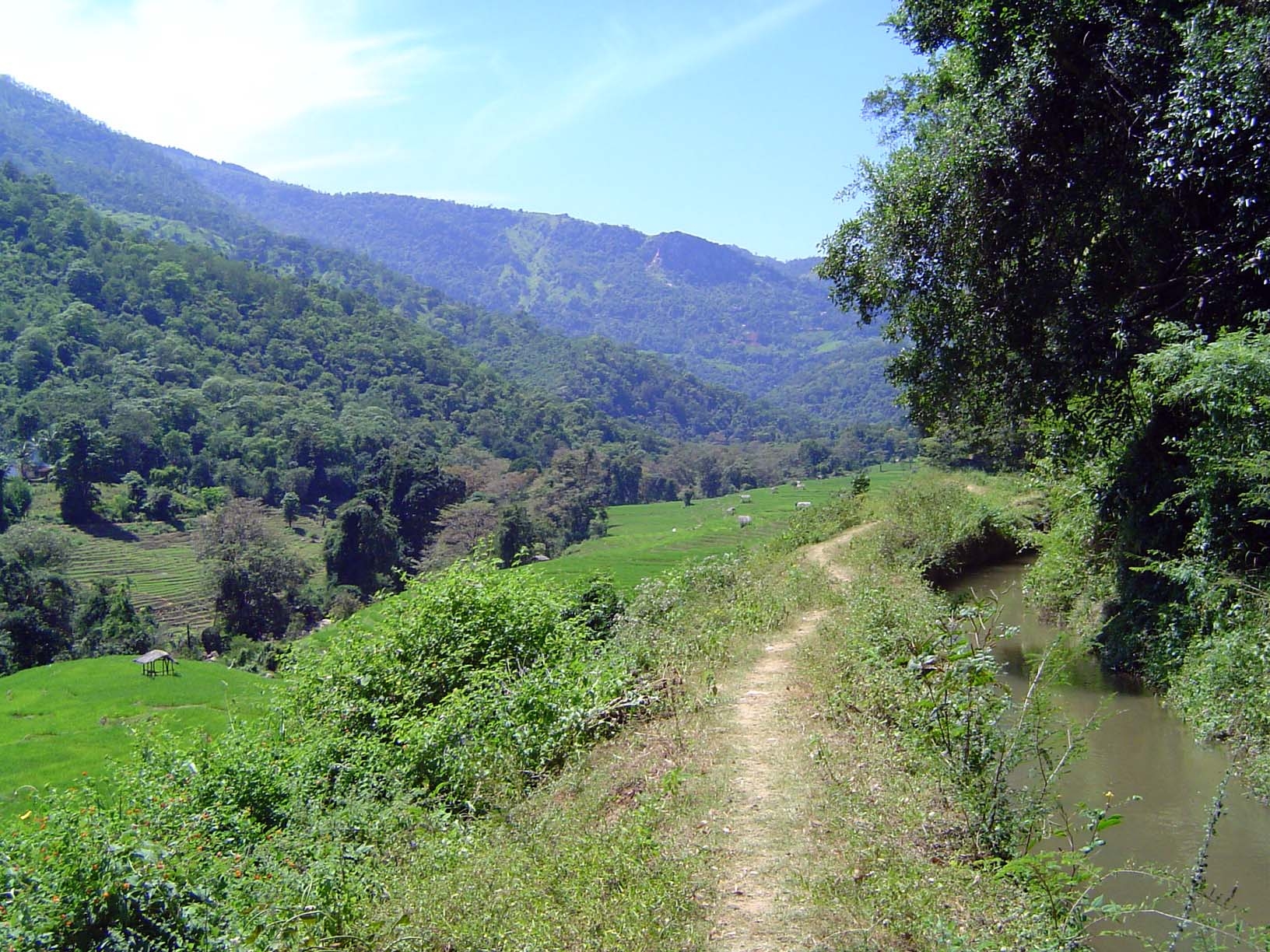 Looking upstream toward the canal's diversion wier.