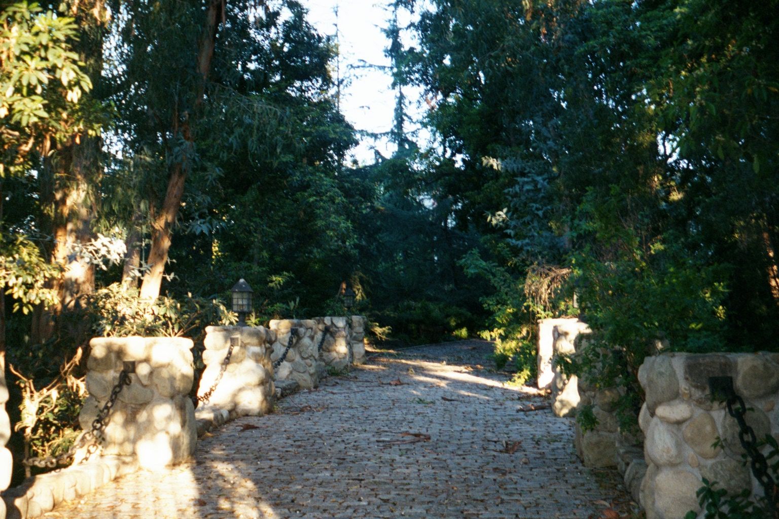 What hath money wrought? An upscale Beverly Hills driveway.