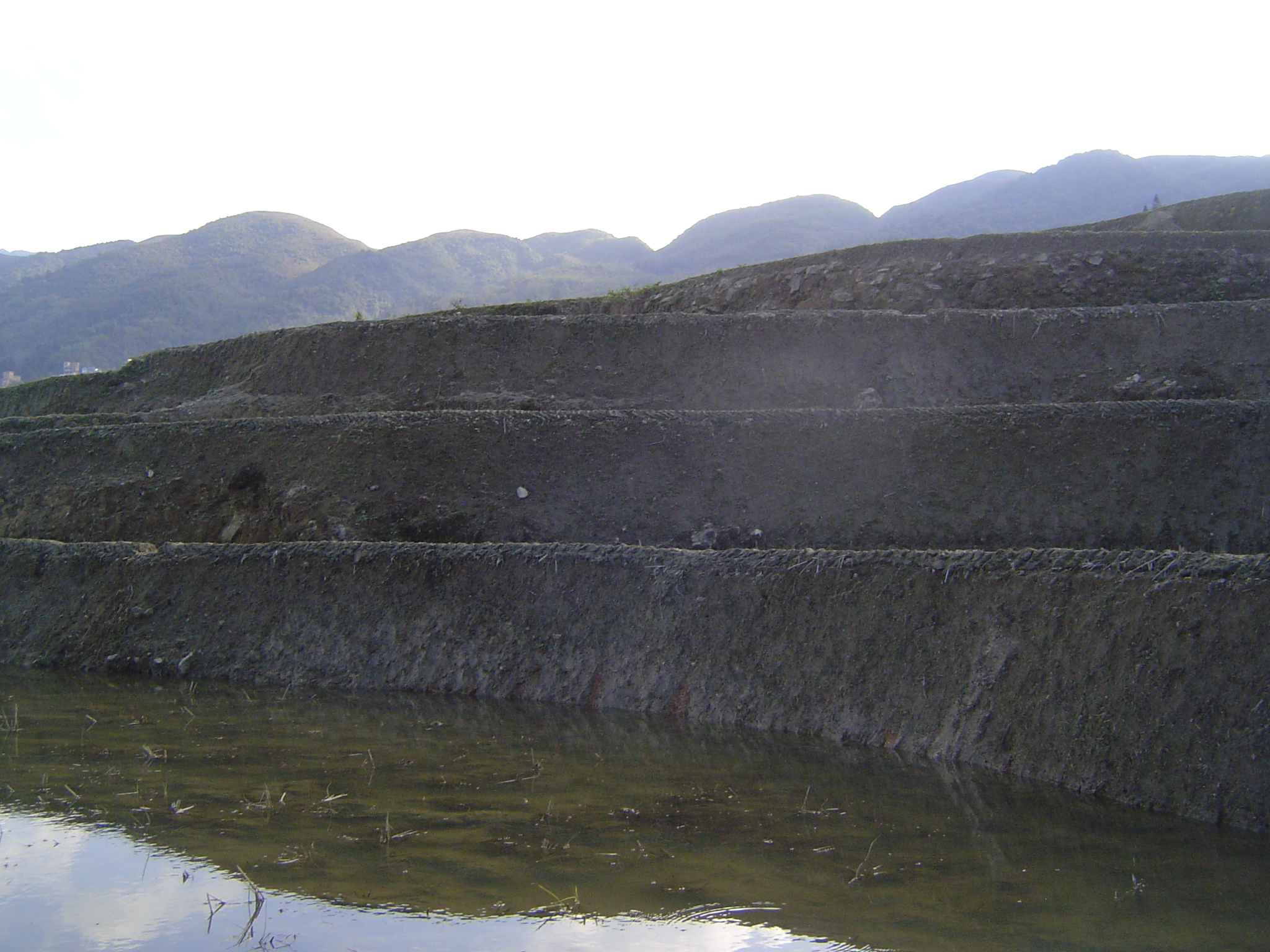 A clear distinction between the wall and dike.