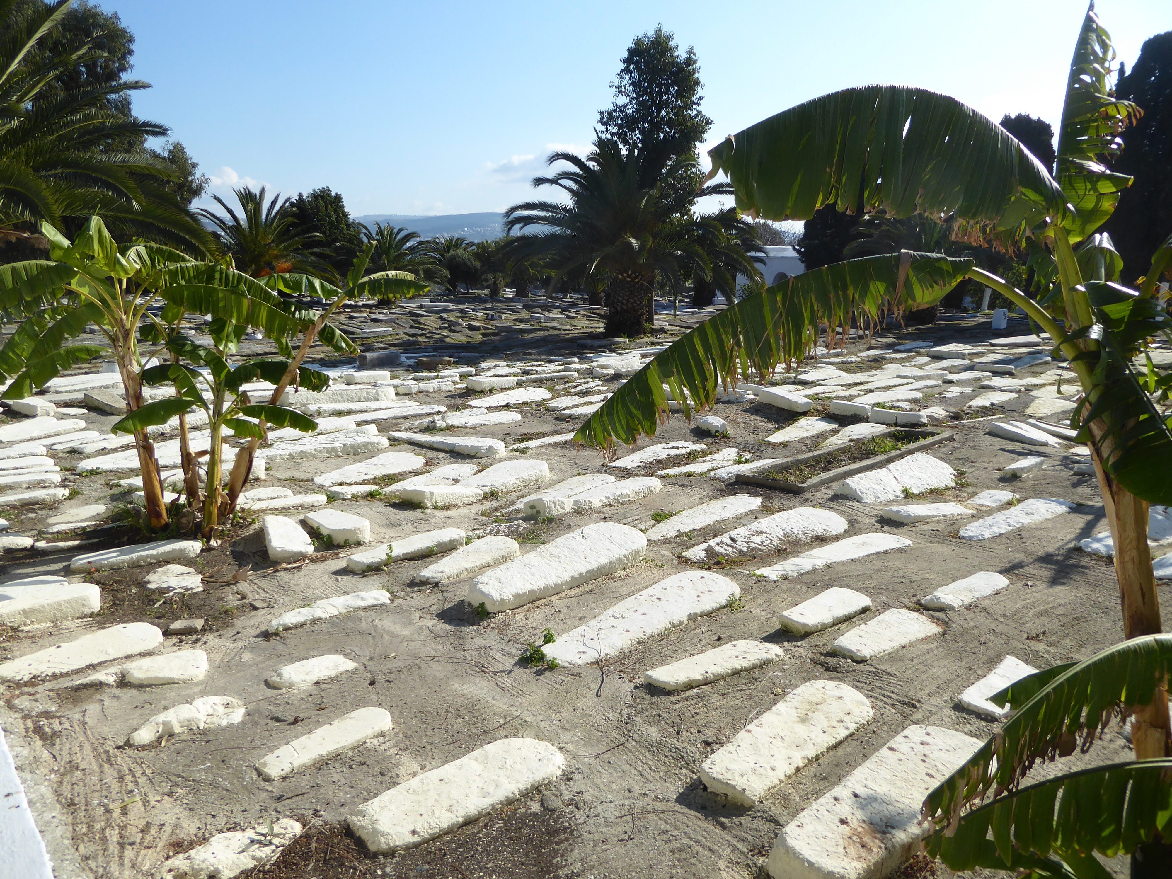 The cemetery space is much coveted by developers, but so far it's been left alone. It might disappear one day, just as did the Portuguese fo