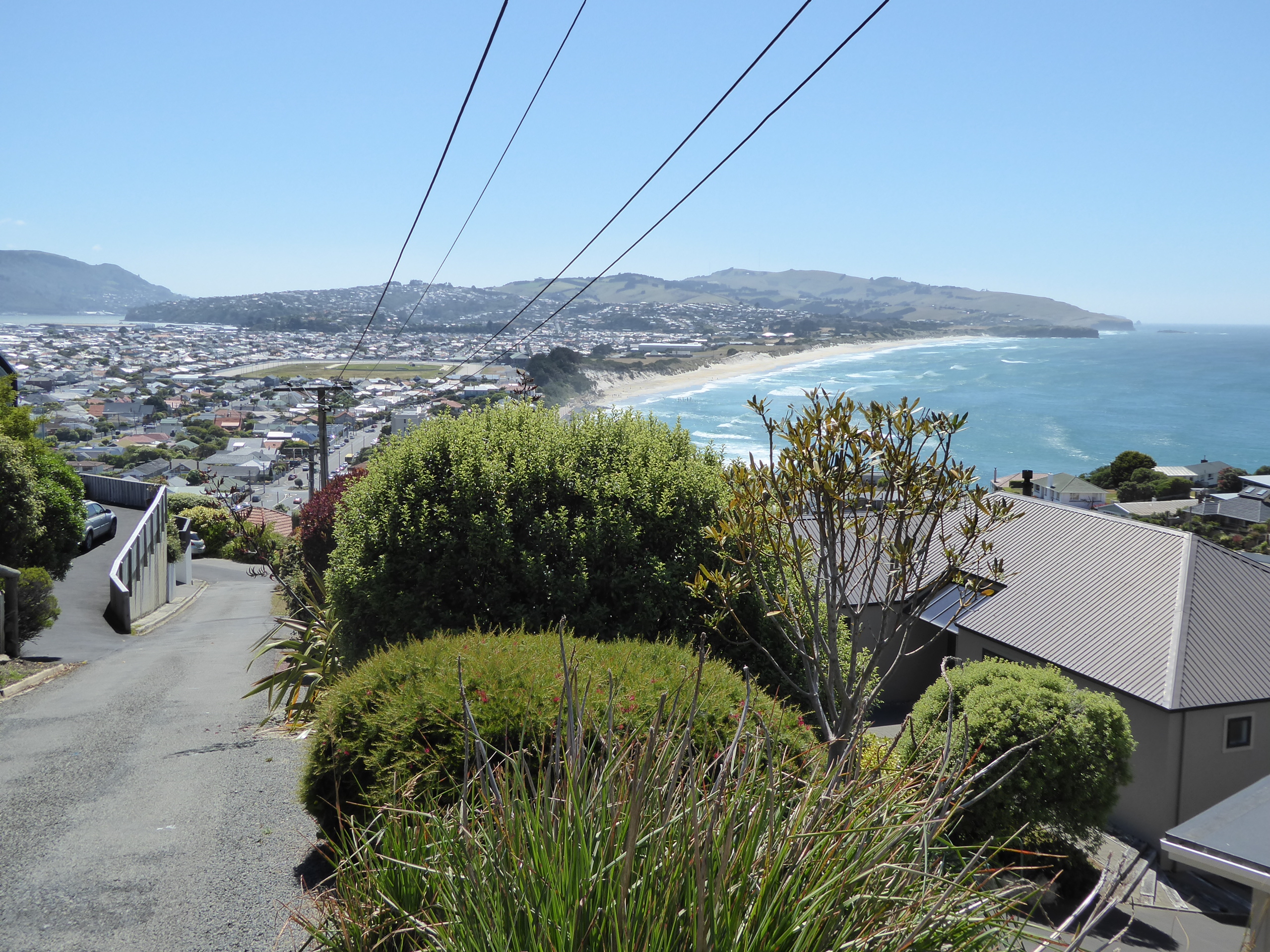 And here we have the great advantage of living on these flats: proximity to a beach. You can see the harbor in the upper left and the Otago