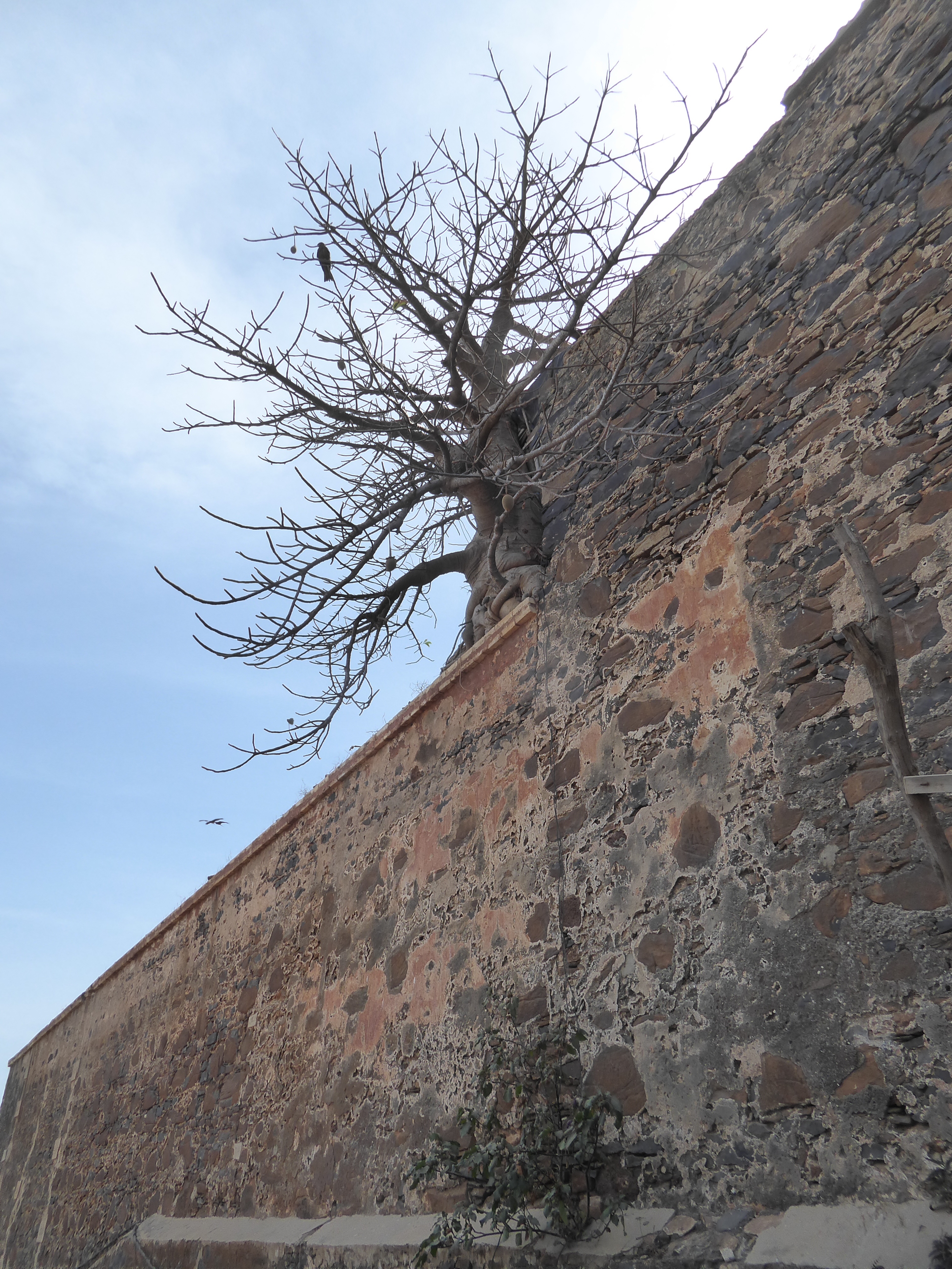A walled section.