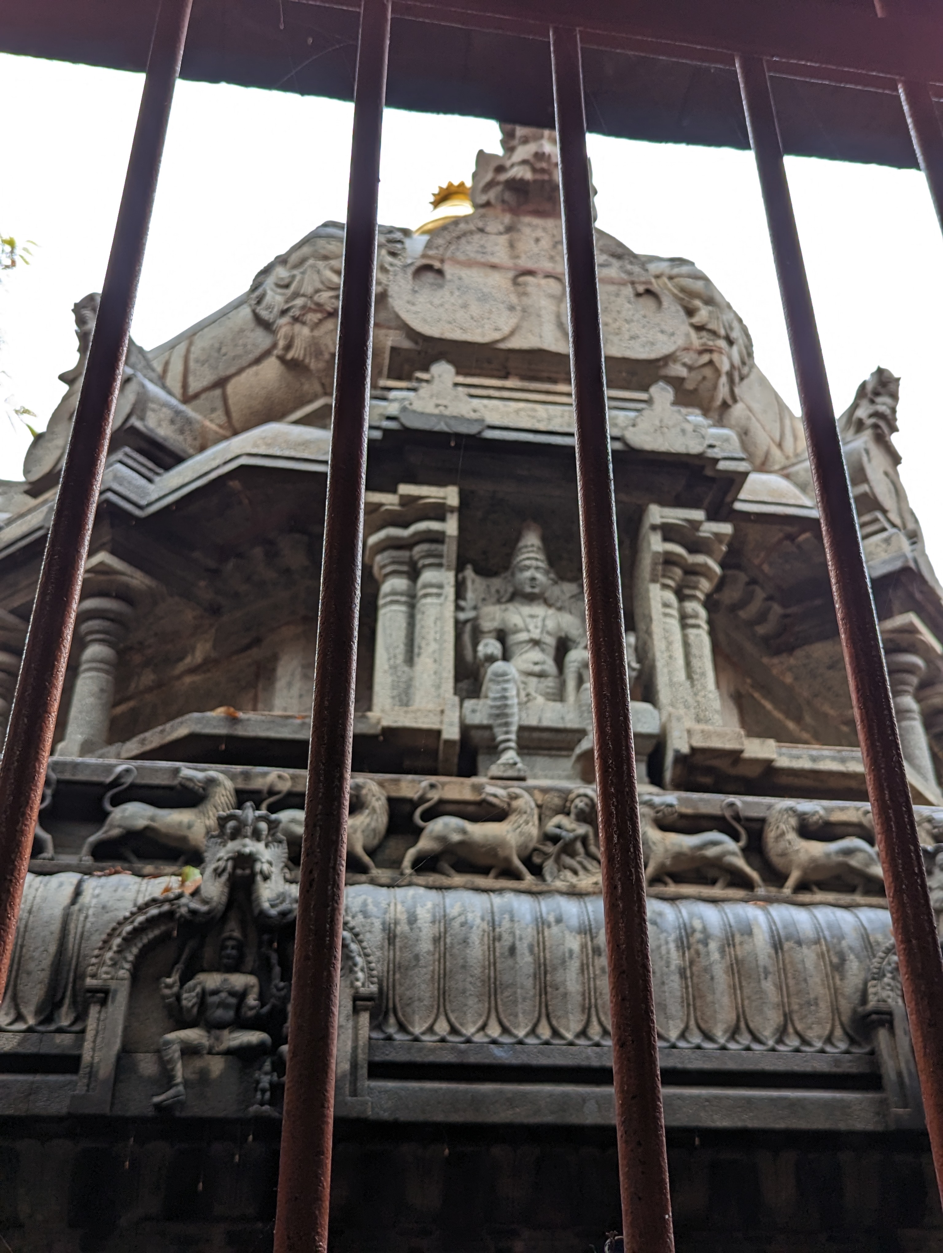 What are the bars guarding against? Answer: a specimen of a White Jambuka tree, Syzygium cumini, sustained by the temple's perpetual springs
