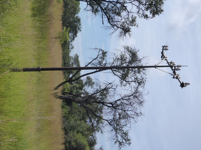 Phone lines run along the road, too. Oops: ran.