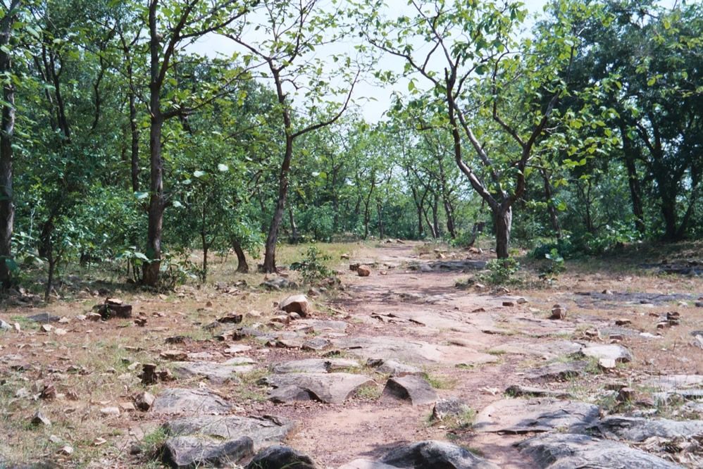 Most of the summit is now forested.