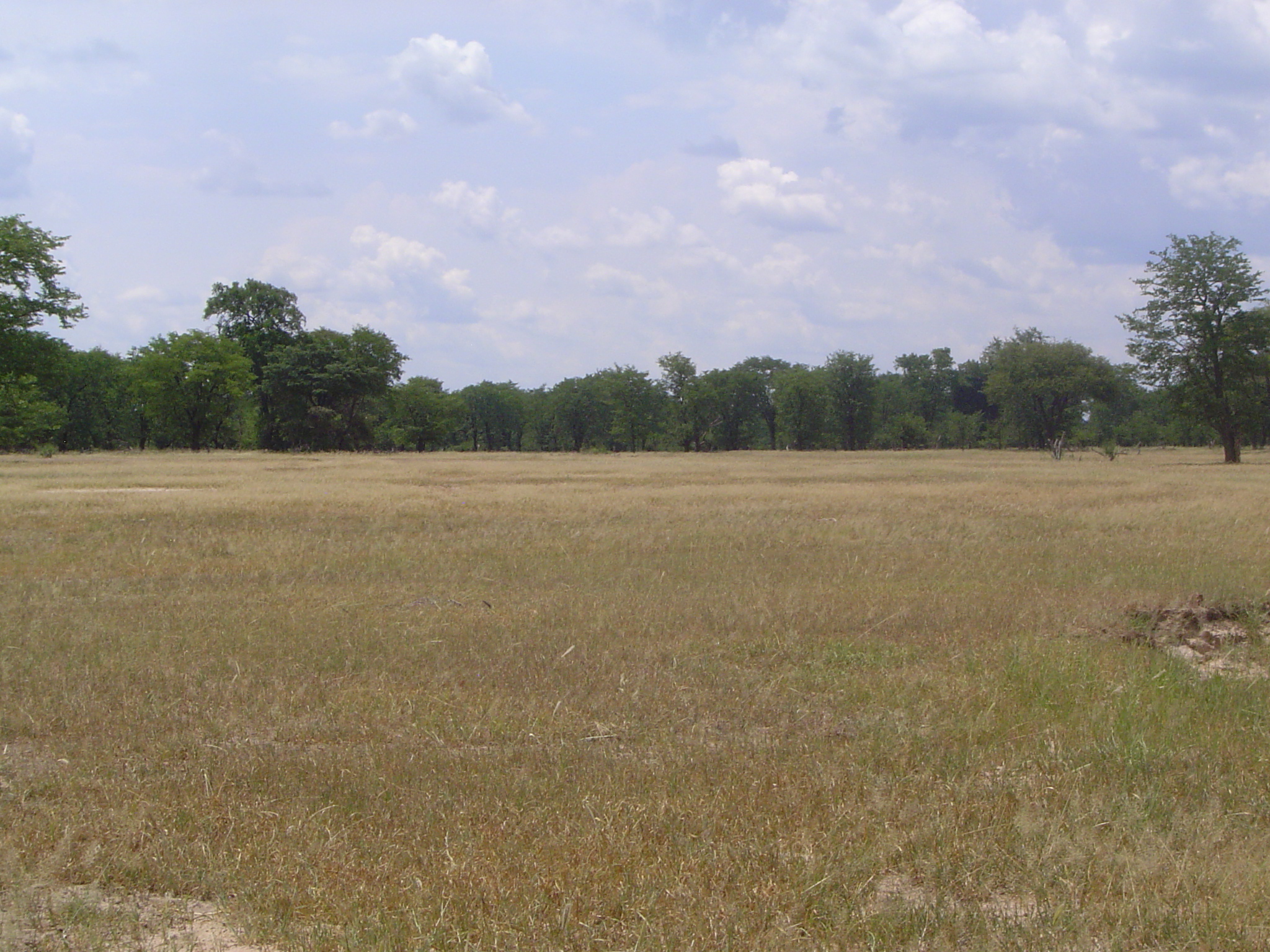 Open ground a few miles west of town.