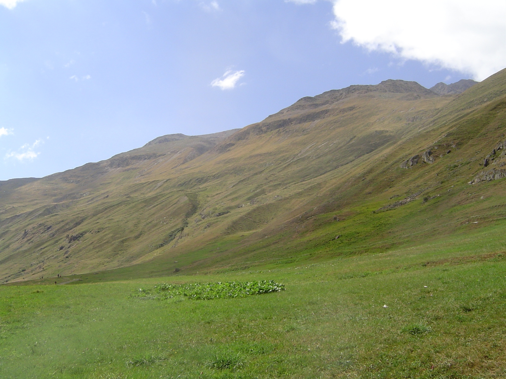 This may be Heidi country, but it's also scalped. The forest disappeared a long time ago.