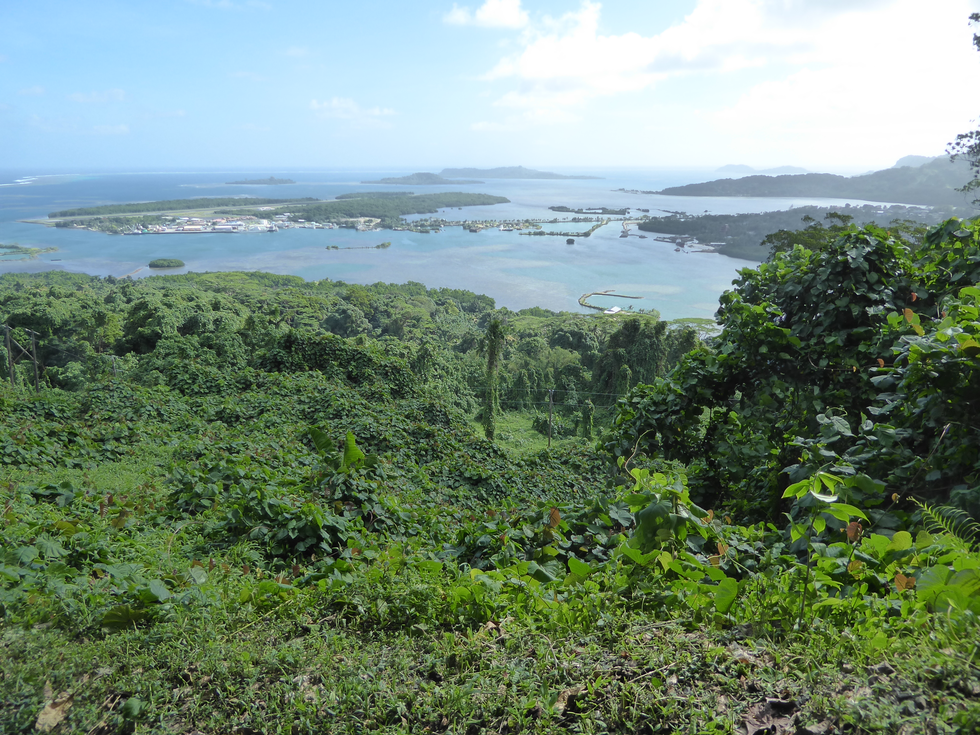 We're still up top: here's the view over the island's airport, on Dekehtik Island, now linked to the main island by road. The one town on th