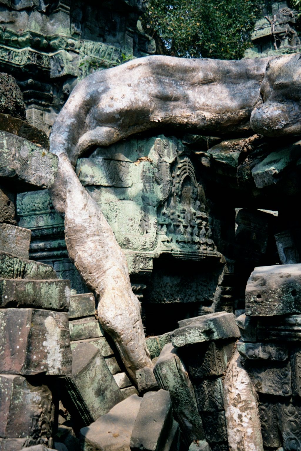 Fortunately, another generation of trees eventually stabilizes stones that have taken a tumble.