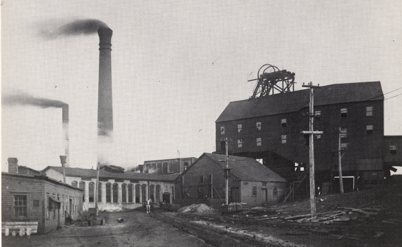 Alas, you won't find any remnants of the Caledonia colliery, which operated here from 1864 to 1892.

https://novascotia.ca/natr/meb/data/pub