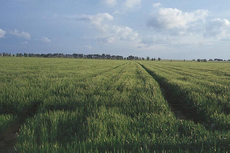The valley became synonymous with agriculture on the grand scale.