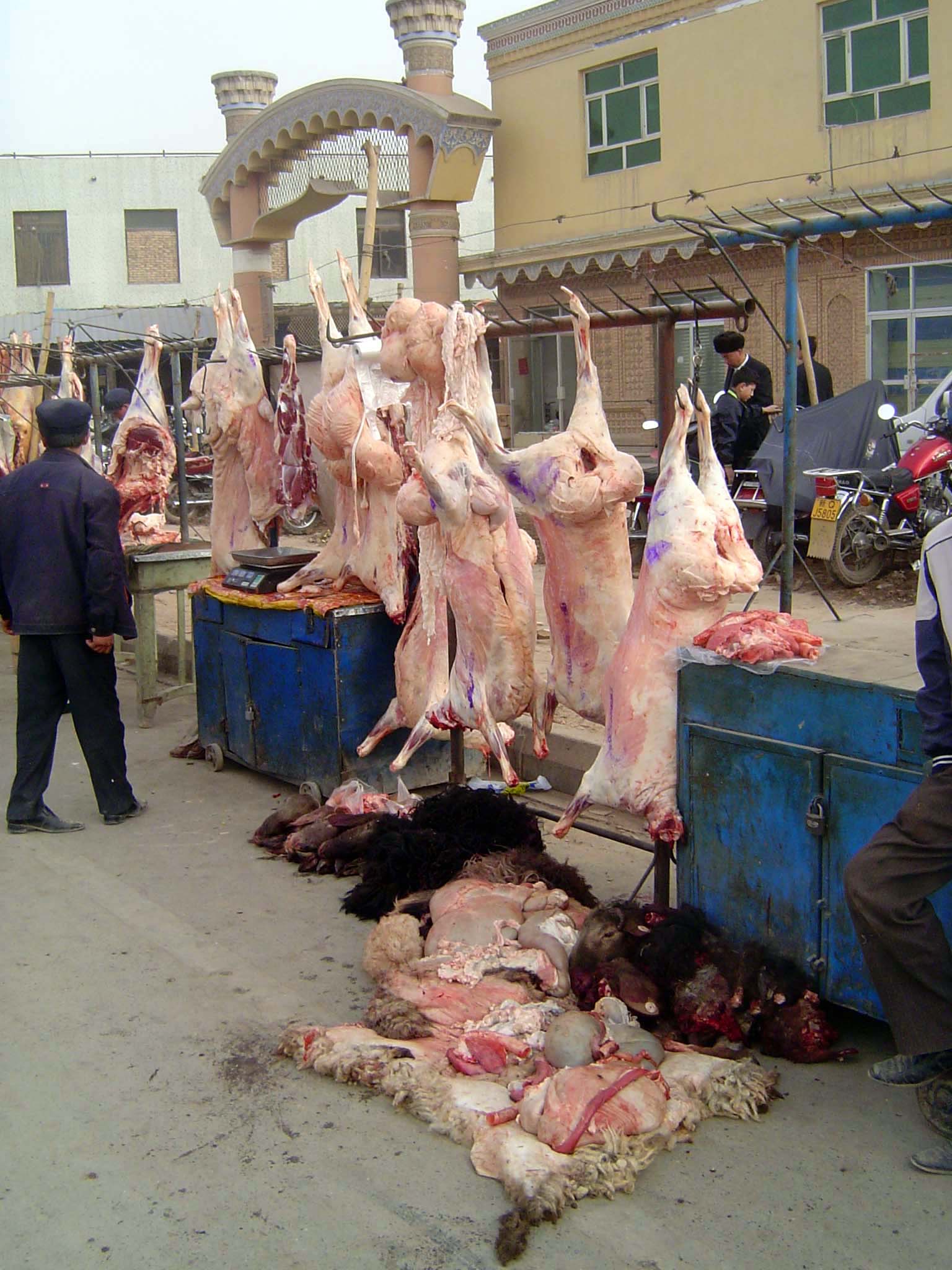 Sheep parts.