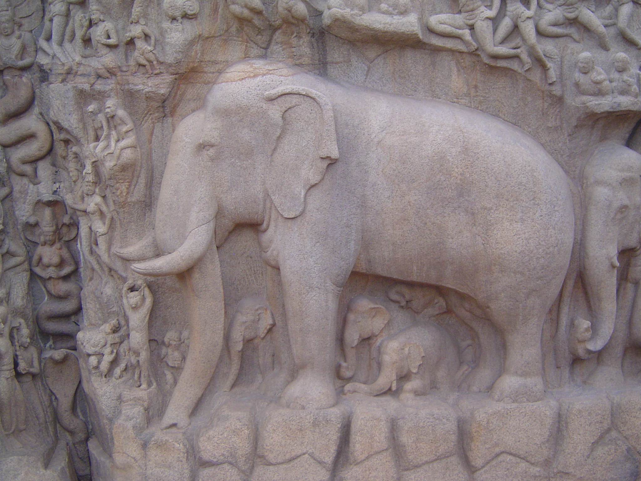 Lots of animals are attracted to the cascade, including an elephant and her young.