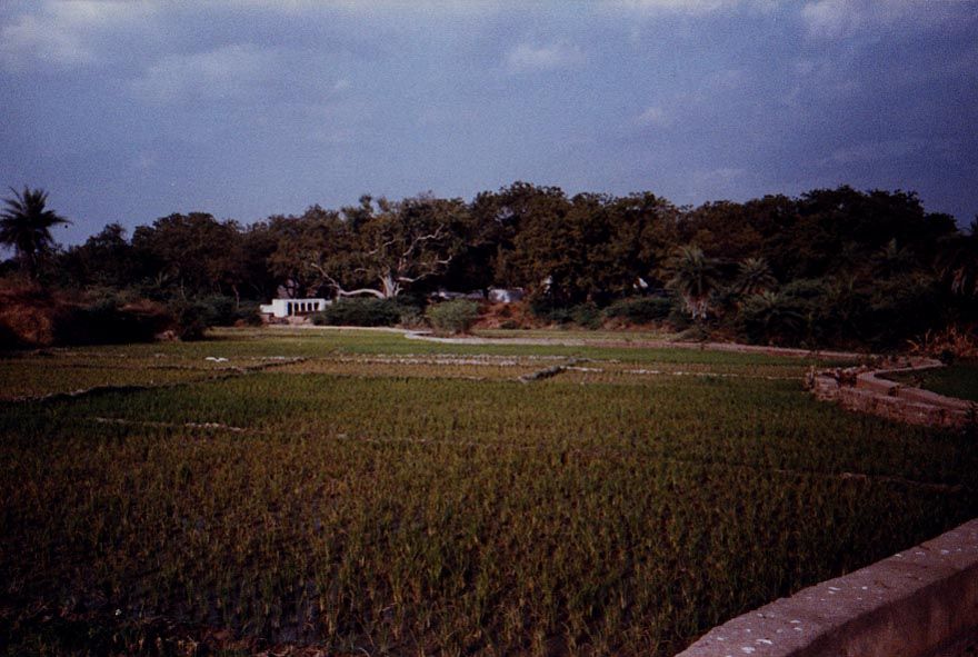 Dusk at Brahmagudem, looking upstream from the irrigation canal that heads in the pool shown in the previous picture. The temple stands in t
