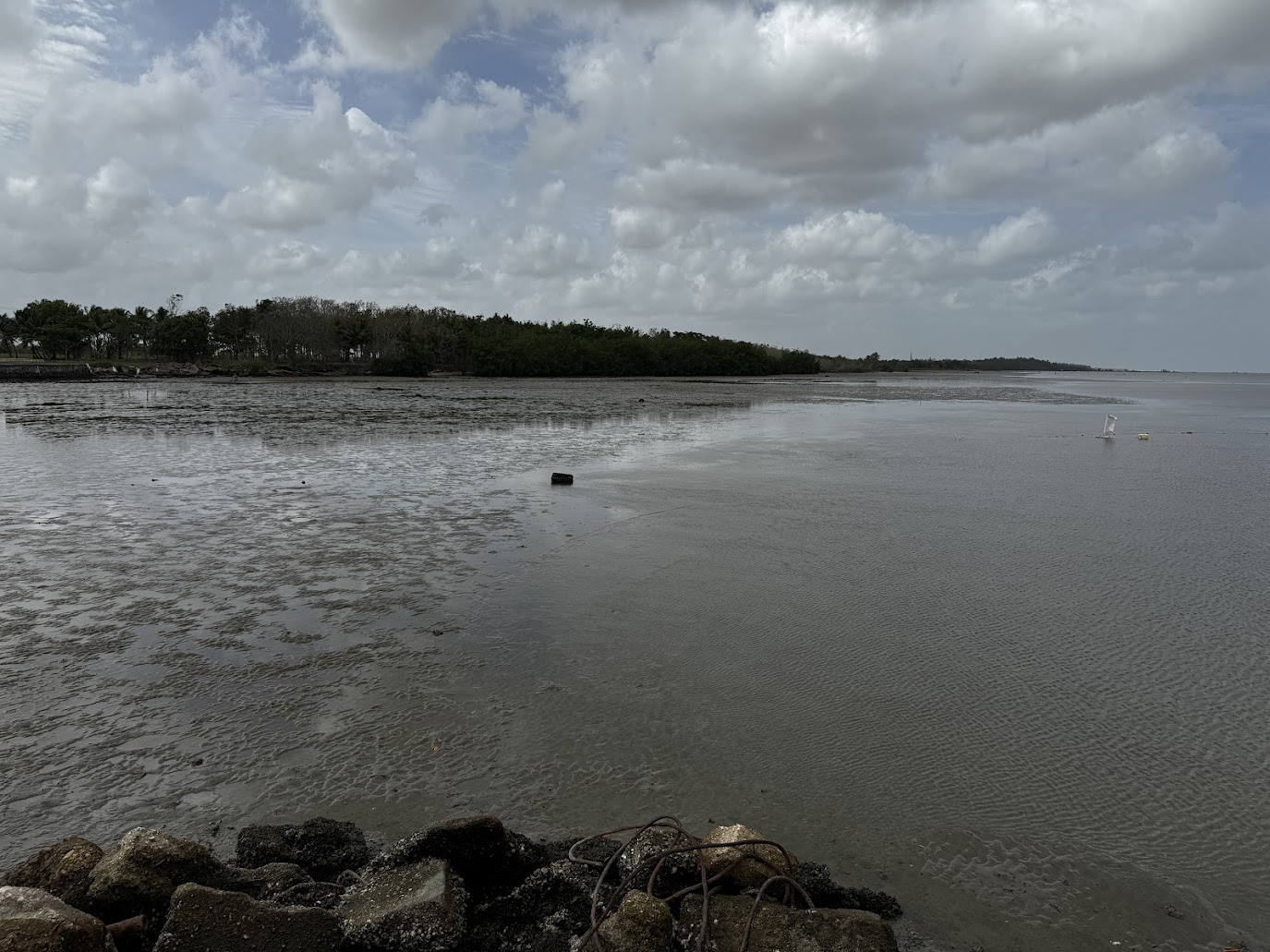 Nice muddy beach near Waterloo, on the west side of the island