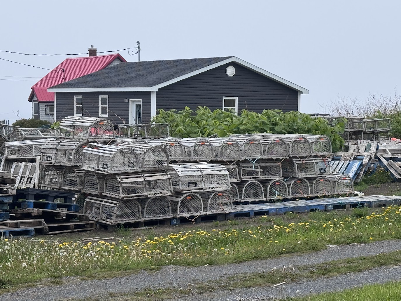 Lobster traps.