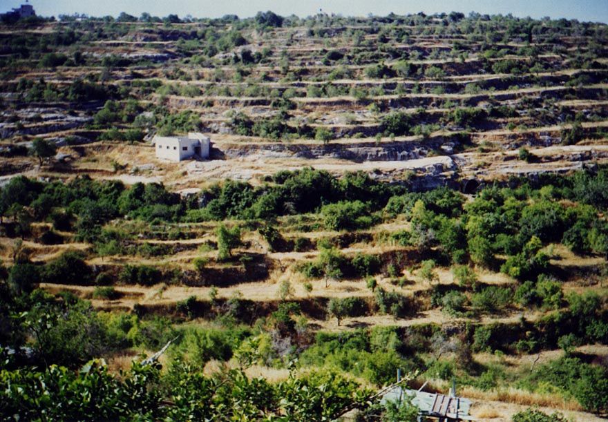 Looking from Salfit southward over the garden. The spring emantes from the block of stone this side of the house and corresponds to the high