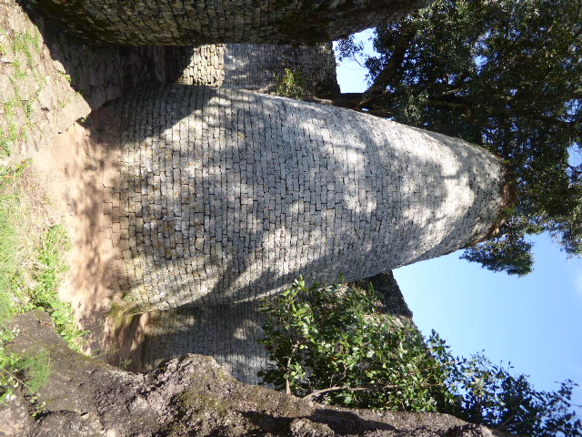 This is the iconic feature within the enclosure. It's a tower replicated around Zimbabwe today on everything from gas stations to funeral ho